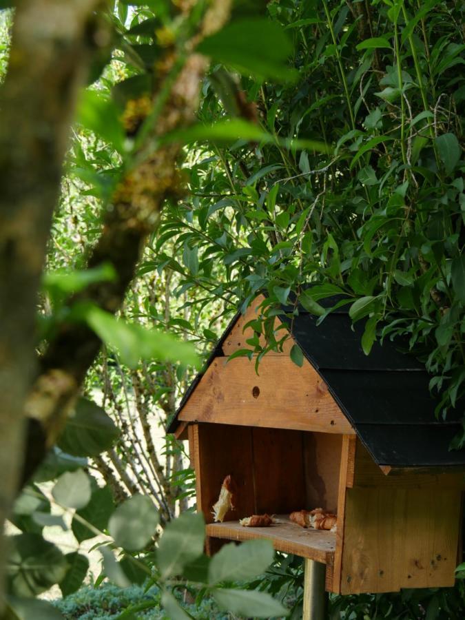 La Maison Des Oiseaux Vandrimare Экстерьер фото